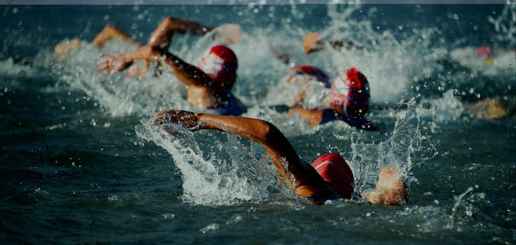 A group of swimmers racing